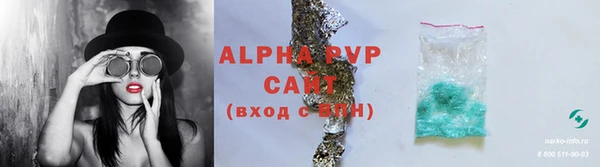 PSILOCYBIN Горнозаводск