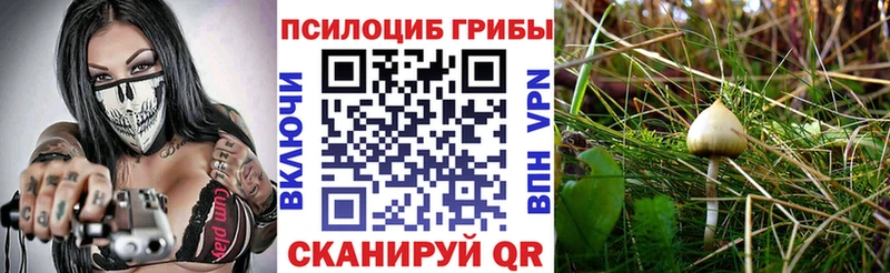 кракен маркетплейс  Ангарск  Псилоцибиновые грибы ЛСД 